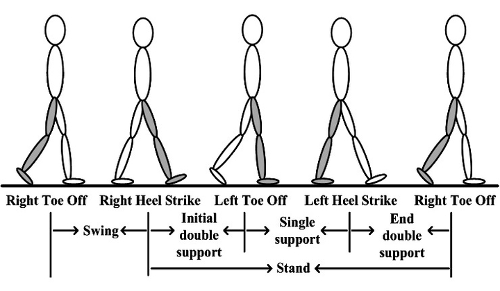 Recognizing Parkinsonian Gait Pattern | Prof Tao Gu's homepage